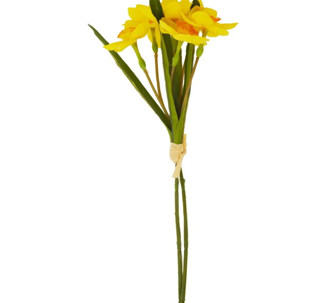 DPI Blumen>Osterglocke Einzelstiel