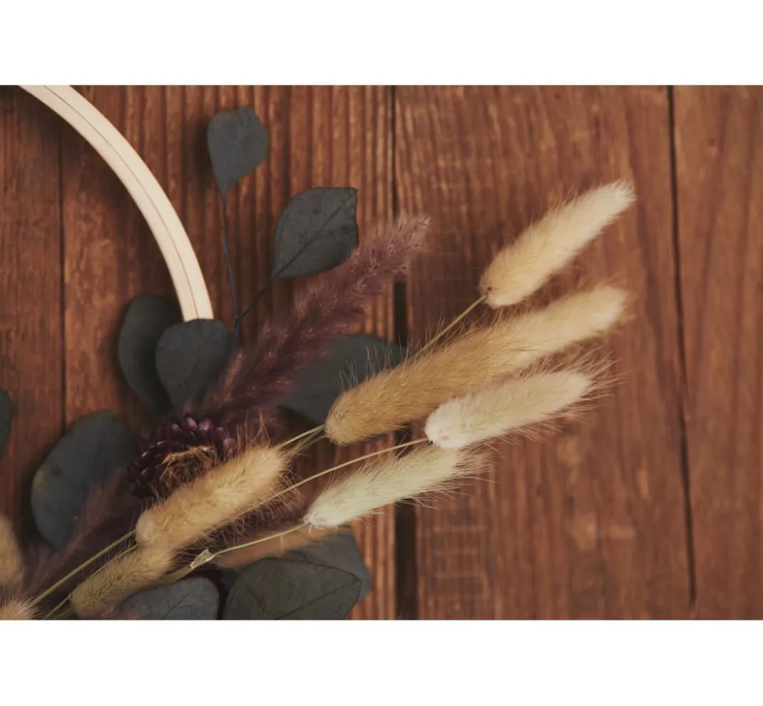 ohne Marke Trockenblumen & - Früchte>Pampasgras