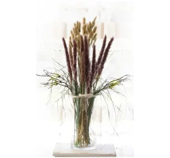 ohne Marke Trockenblumen & - Früchte><noscript><img width=