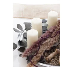 ohne Marke Trockenblumen & - Früchte><noscript><img width=