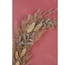 ohne Marke Trockenblumen & - Früchte><noscript><img width=