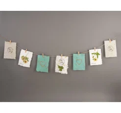 Rayher Papierschöpfen|Weiteres><noscript><img width=