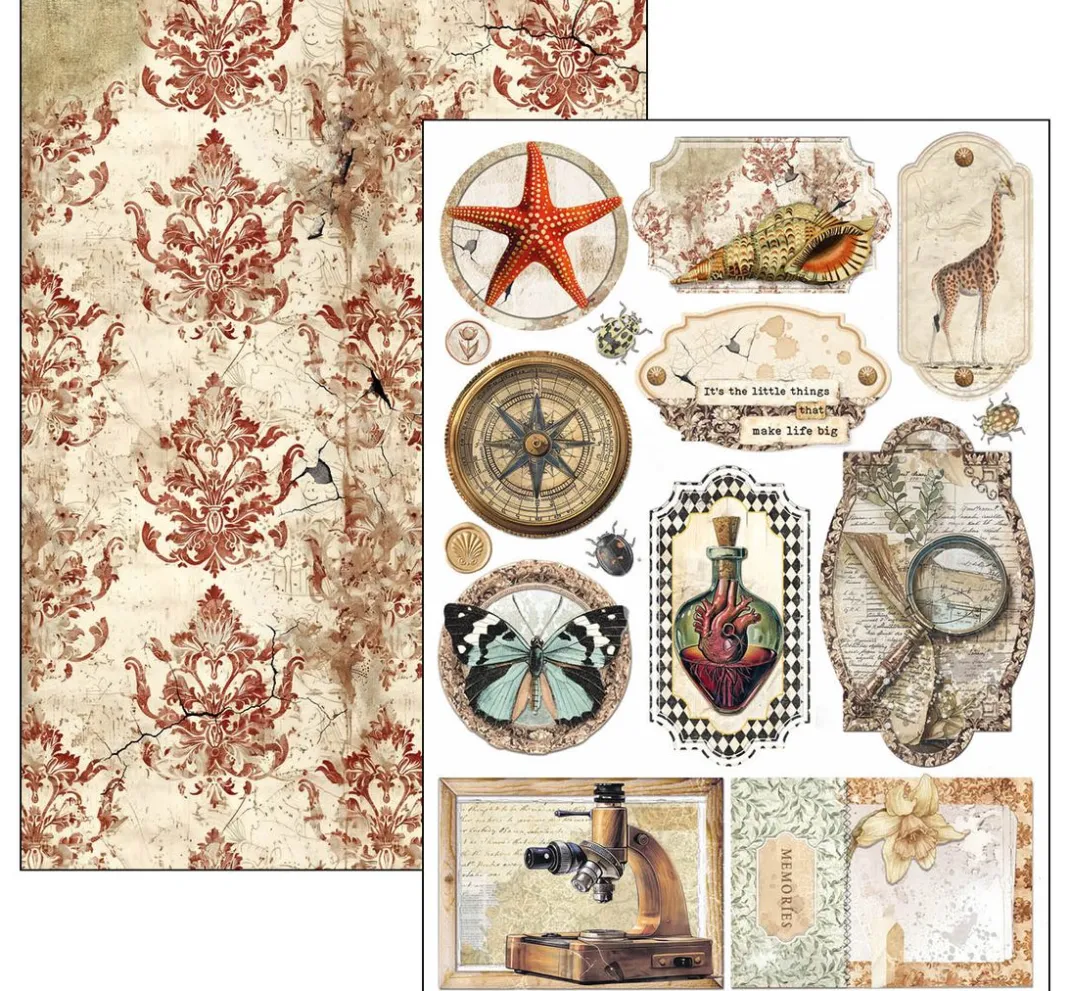 Ciao Bella Farb- & Motivblöcke|Scrapbooking>Papier-Set "Cabinet of Curiosities"