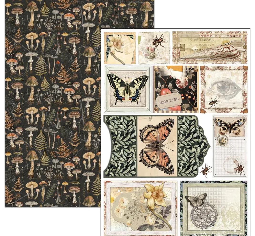 Ciao Bella Farb- & Motivblöcke|Scrapbooking>Papier-Set "Cabinet of Curiosities"