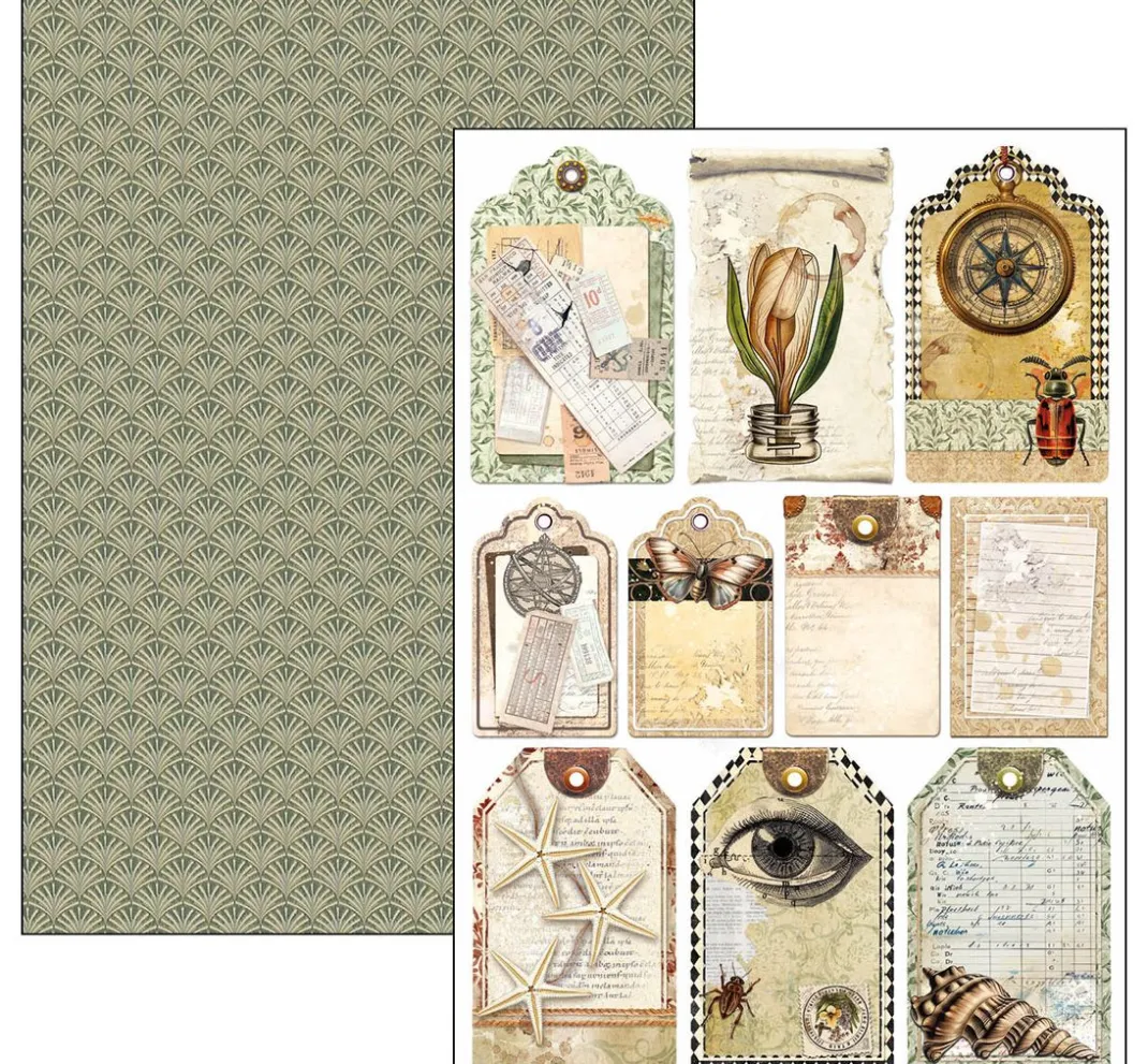 Ciao Bella Farb- & Motivblöcke|Scrapbooking>Papier-Set "Cabinet of Curiosities"