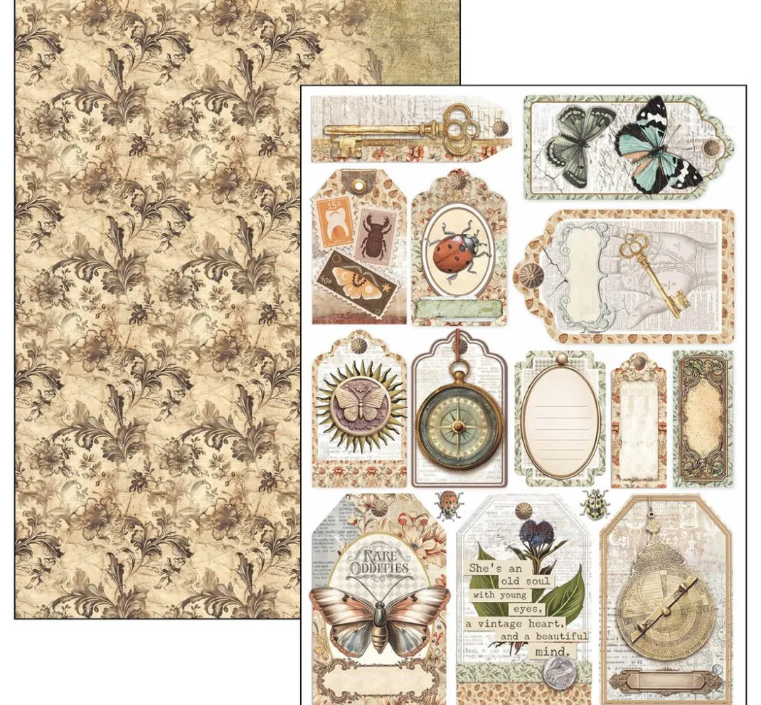 Ciao Bella Farb- & Motivblöcke|Scrapbooking>Papier-Set "Cabinet of Curiosities"