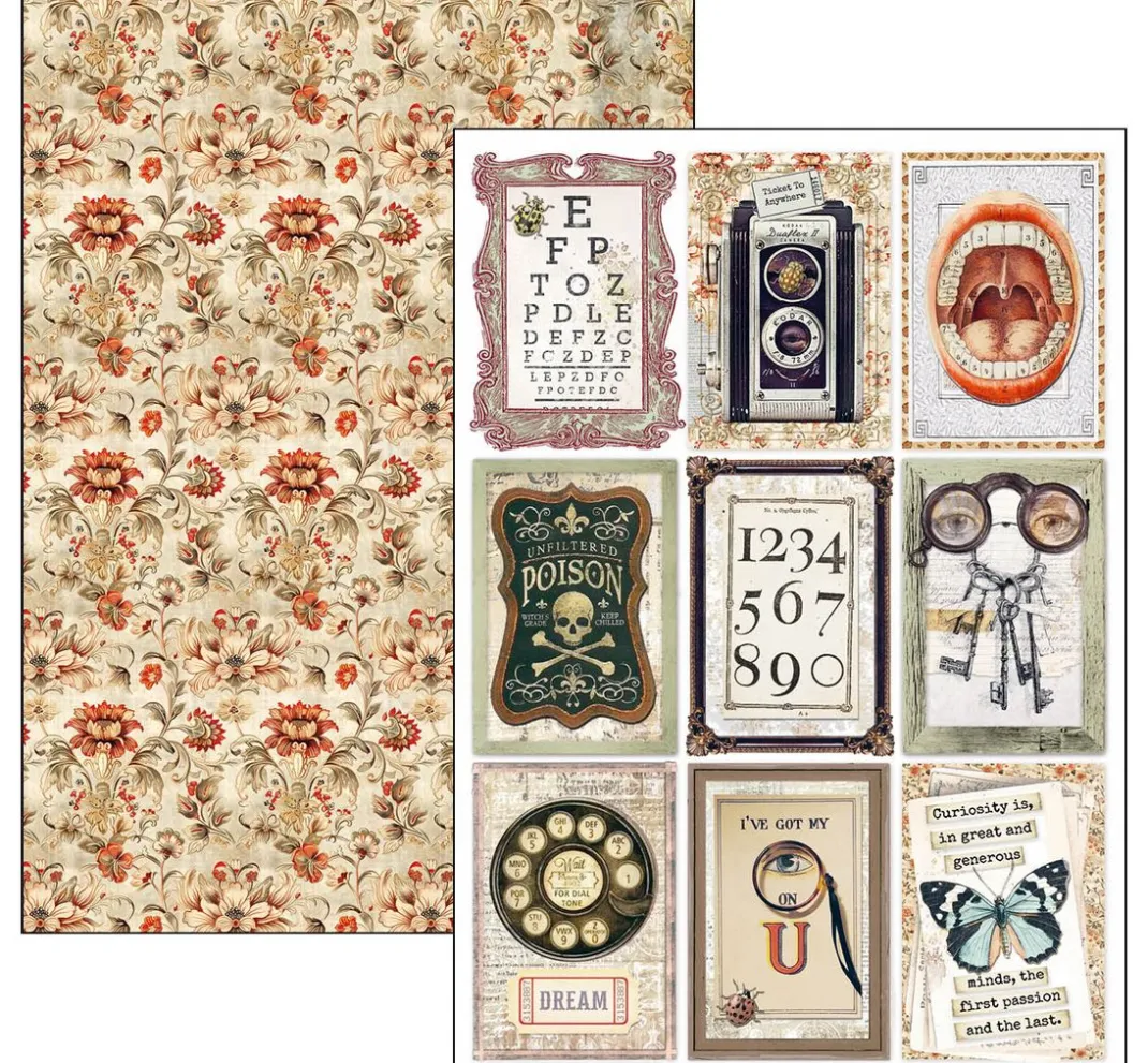 Ciao Bella Farb- & Motivblöcke|Scrapbooking>Papier-Set "Cabinet of Curiosities"