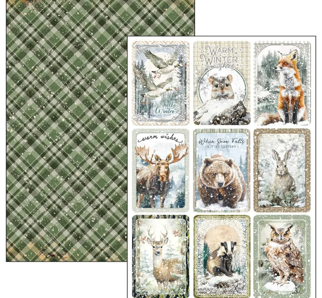 Ciao Bella Farb- & Motivblöcke|Scrapbooking>Papier-Set "Forest Tales"