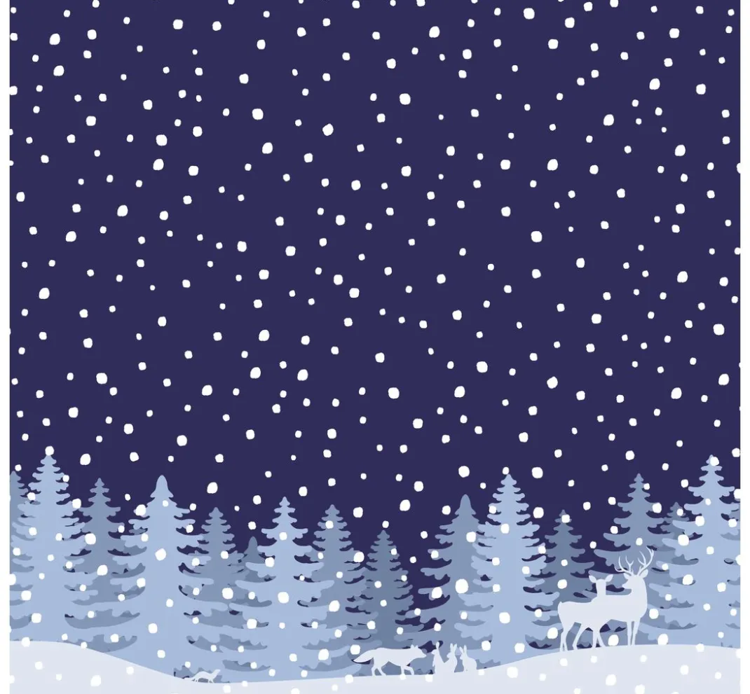 Artemio Farb- & Motivblöcke>Papier-Set "Winterzauber"