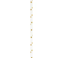 folia Backen><noscript><img width=
