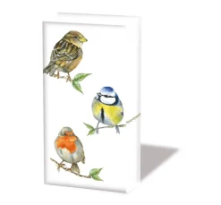 Ambiente Serviettentechnik>Papiertaschentücher "Birds"