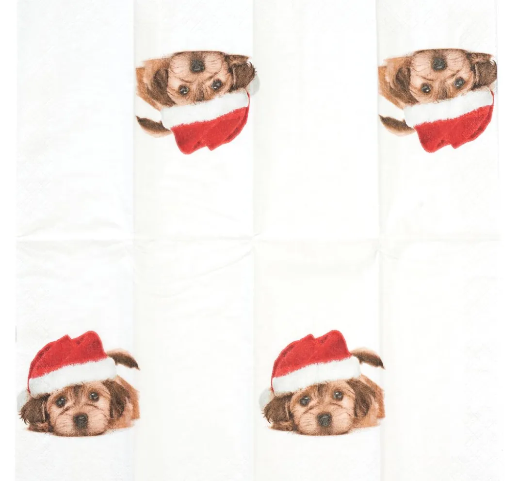 Paper+Design Serviettentechnik>Papiertaschentücher "Sweet Santa Dog"