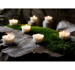 Wenzel Kerzen Gestalten><noscript><img width=