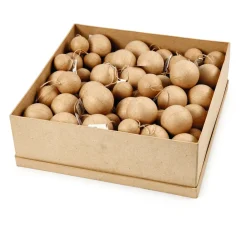 Kinder creativ company Holz|Holz, Mdf & Pappmaché>Pappmaché-Kugeln "Größen-Mix", 105 Stück