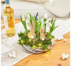 DPI Blumen>Perlhyazinthen Mix mit Zwiebel