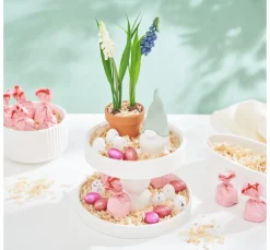 DPI Blumen><noscript><img width=