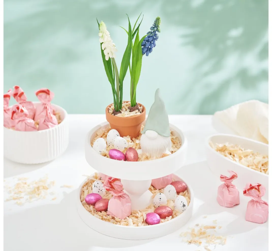 DPI Blumen>Perlhyazinthen Mix mit Zwiebel