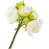 DPI Blumen>Pfingstrosen-Bund mit 5 Blüten