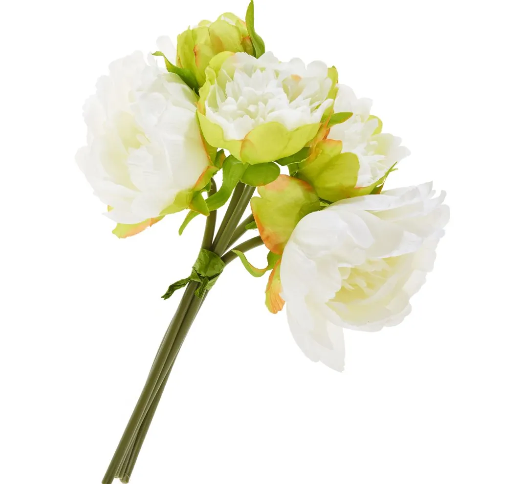 DPI Blumen>Pfingstrosen-Bund mit 5 Blüten