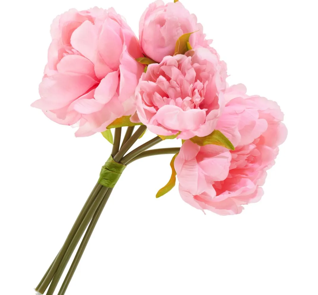 DPI Blumen>Pfingstrosen-Bund mit 5 Blüten