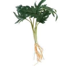 DPI Bäume & Zweige>Philodendron-Busch
