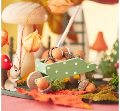 ohne Marke Bäume & Zweige>Physalis-Zweig