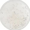 Rico Design Quetschperlen>Quetschperlen, Silber, 2 mm