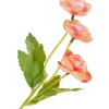 DPI Blumen>Ranunkel-Pick mit 3 Blüten