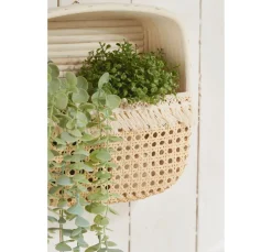 creativ company Peddigrohr Flechten|Zubehör><noscript><img width=