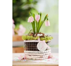 Rayher Seifen-Design|Gießformen><noscript><img width=