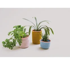 Rico Design Häkeln|Häkeln><noscript><img width=