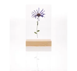 Rico Design Holz, Mdf & Pappmaché>Holzaufsteller mit doppelter Acrylscheibe, 10 x 15 cm