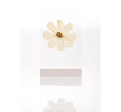 Rico Design Holz, Mdf & Pappmaché><noscript><img width=