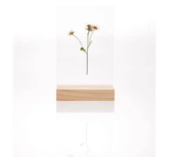 Rico Design Holz, Mdf & Pappmaché><noscript><img width=