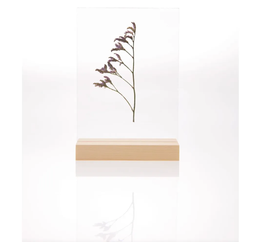 Rico Design Holz, Mdf & Pappmaché>Holzaufsteller mit doppelter Acrylscheibe, 10 x 15 cm