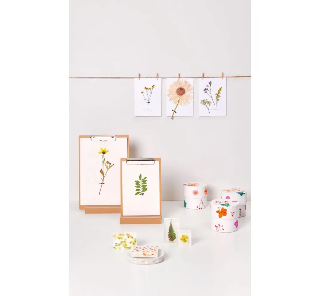 Rico Design Papierschöpfen|Trockenblumen & - Früchte>Mix Set gepresste Blüten "Orange Türkis"