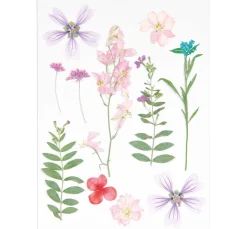 Rico Design Papierschöpfen|Trockenblumen & - Früchte>Mix Set gepresste Blüten "Rosa Violett"