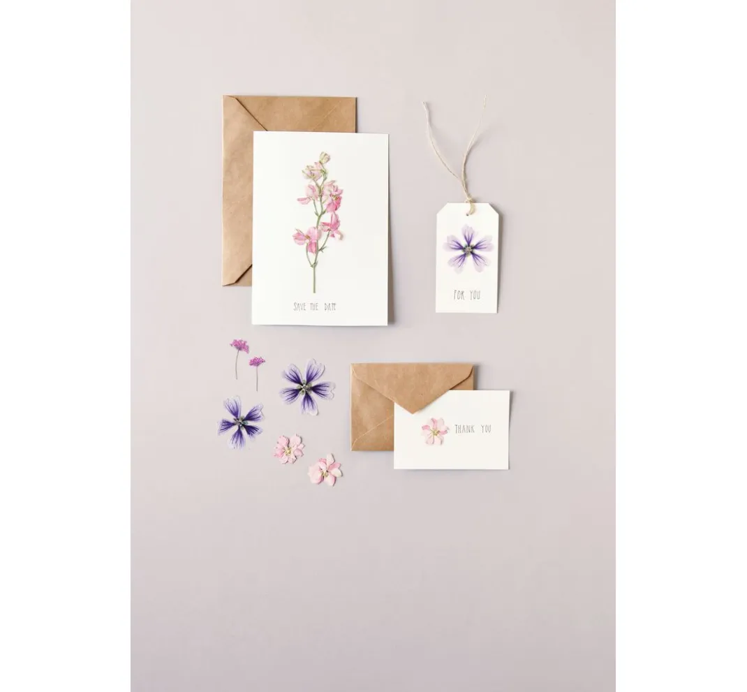 Rico Design Papierschöpfen|Trockenblumen & - Früchte>Mix Set gepresste Blüten "Rosa Violett"
