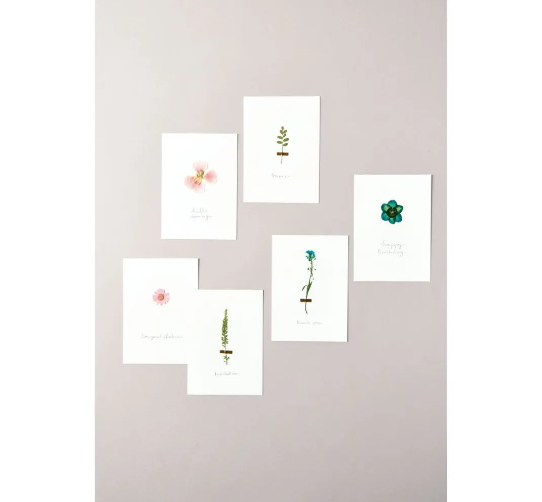 Rico Design Papierschöpfen|Trockenblumen & - Früchte>Mix Set gepresste Blüten "Rosa Violett"