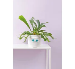 Rico Design Häkeln|Häkelanleitungen><noscript><img width=