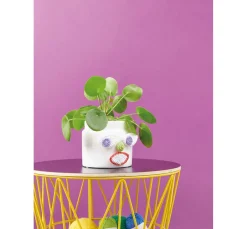 Rico Design Effektwolle|Babywolle><noscript><img width=