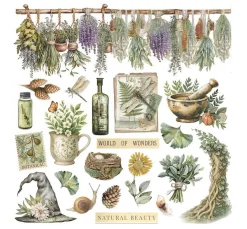 Stamperia Scrapbooking|Kartengestaltung>Rub On Sortiment "Herbarium Silvae"