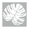 Pronty Crafts Malschablonen|Schablonen>Schablone "Big Monstera Blatt"