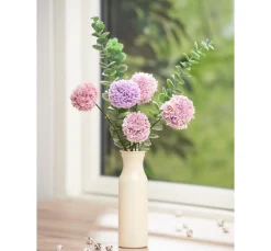 Schachenmayr Babywolle|Topflappengarn><noscript><img width=