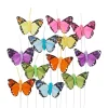 ohne Marke Dekofiguren & -Objekte>Schmetterling "Brasil"