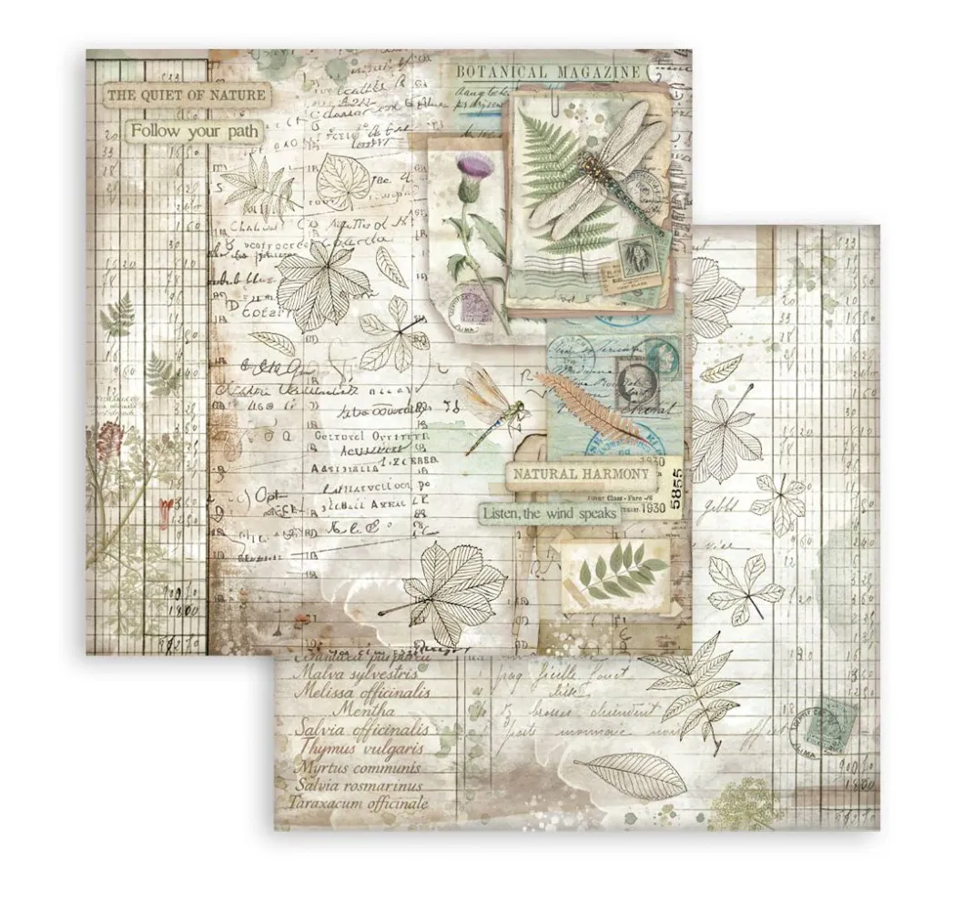 Stamperia Scrapbooking|Farb- & Motivblöcke>Scrapbook-Block "Herbarium Silvae"