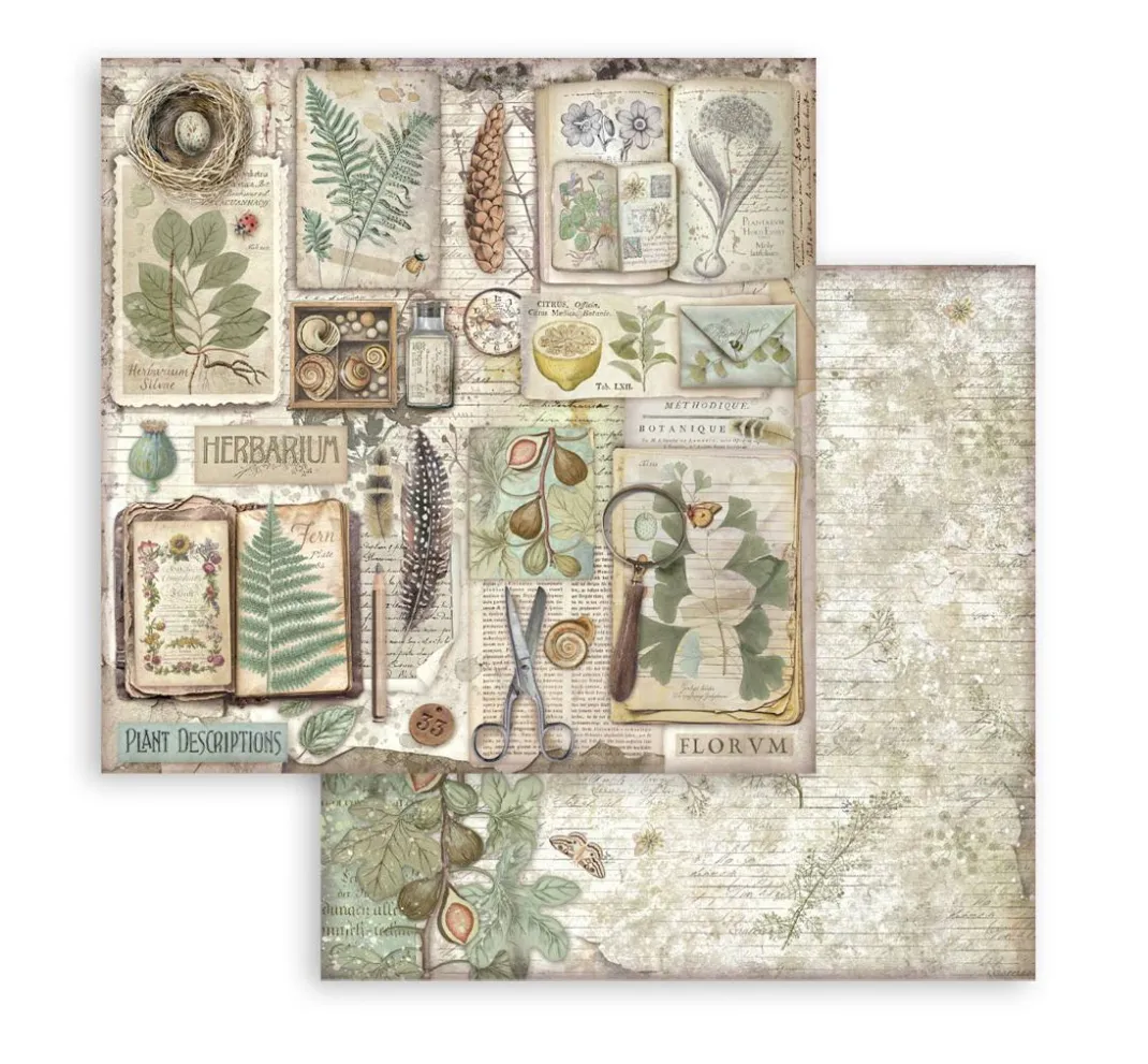 Stamperia Scrapbooking|Farb- & Motivblöcke>Scrapbook-Block "Herbarium Silvae"