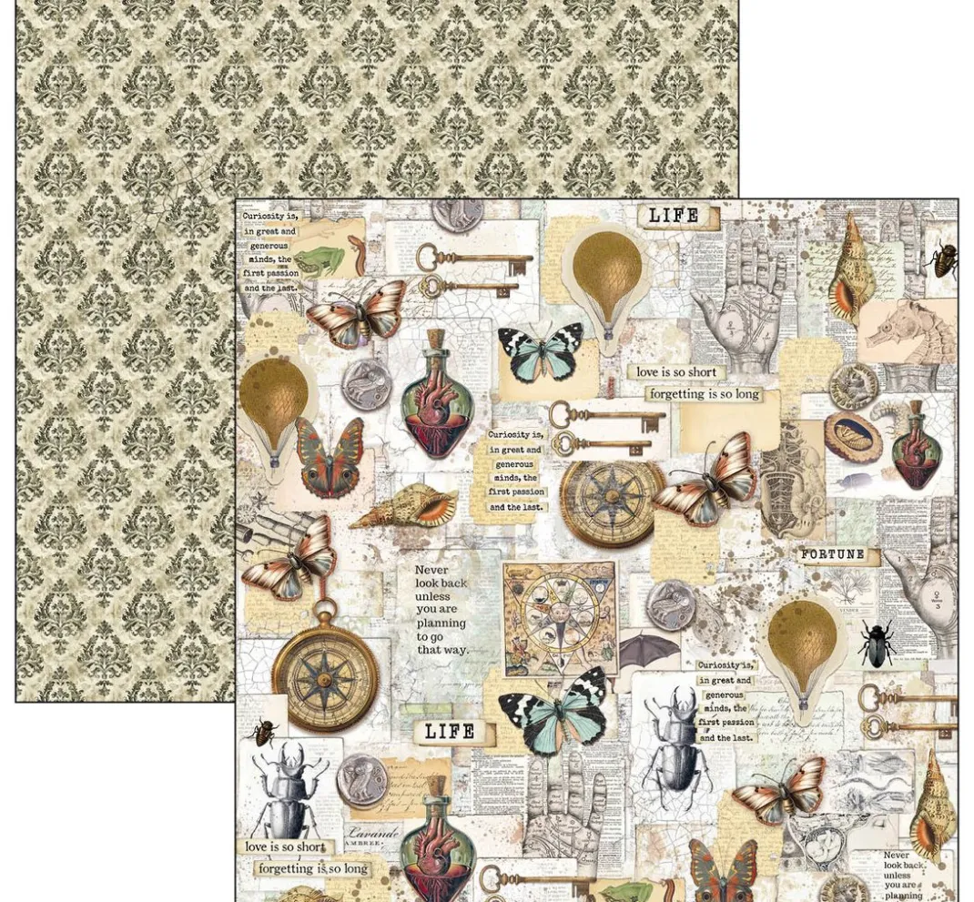 Ciao Bella Farb- & Motivblöcke|Scrapbooking>Scrapbook-Papier "Cabinet of Curiosities"