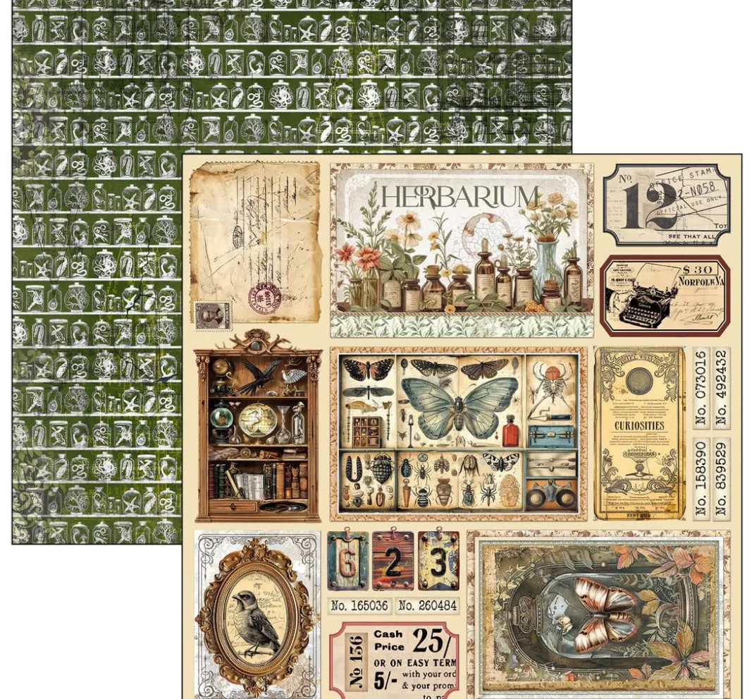 Ciao Bella Farb- & Motivblöcke|Scrapbooking>Scrapbook-Papier "Cabinet of Curiosities"
