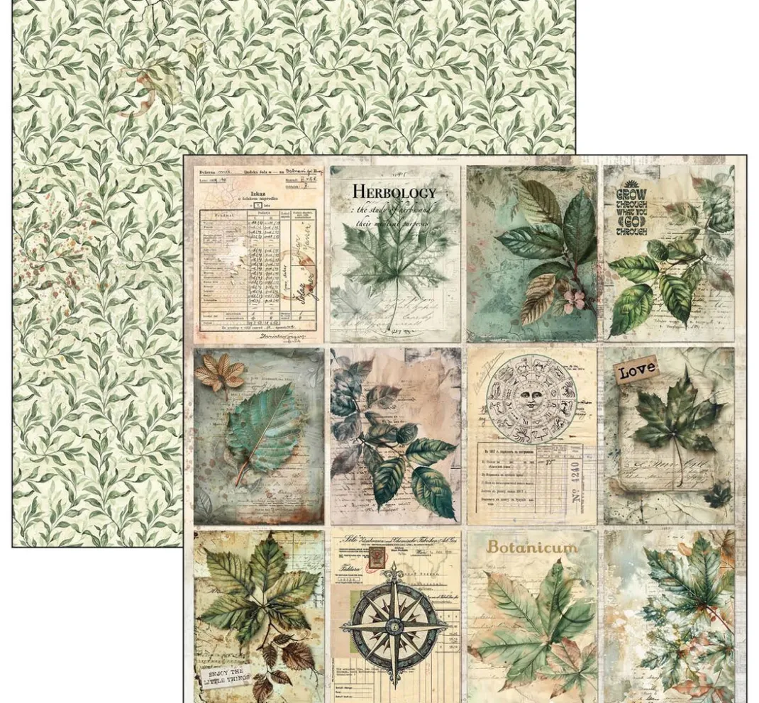 Ciao Bella Farb- & Motivblöcke|Scrapbooking>Scrapbook-Papier "Cabinet of Curiosities"